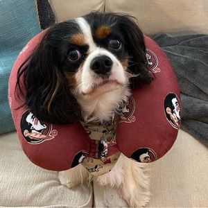 Meet your Posher, Luciano